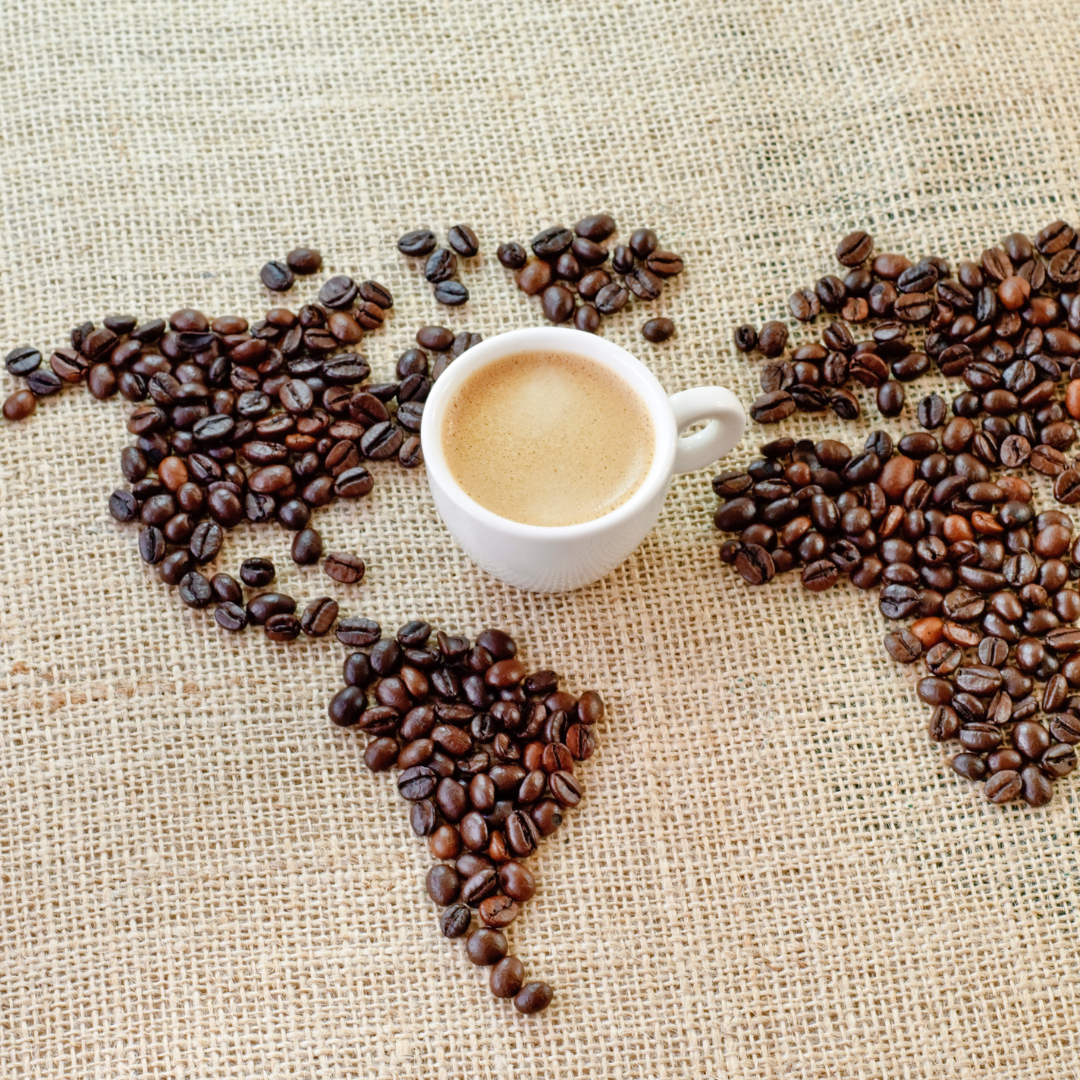 Exploring Coffee Origins: A Journey Through Flavor