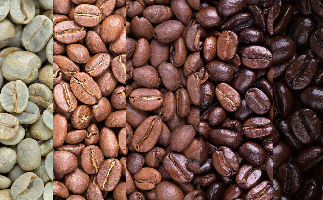 Exploring Coffee Roasts: A Journey through Flavor and Aroma